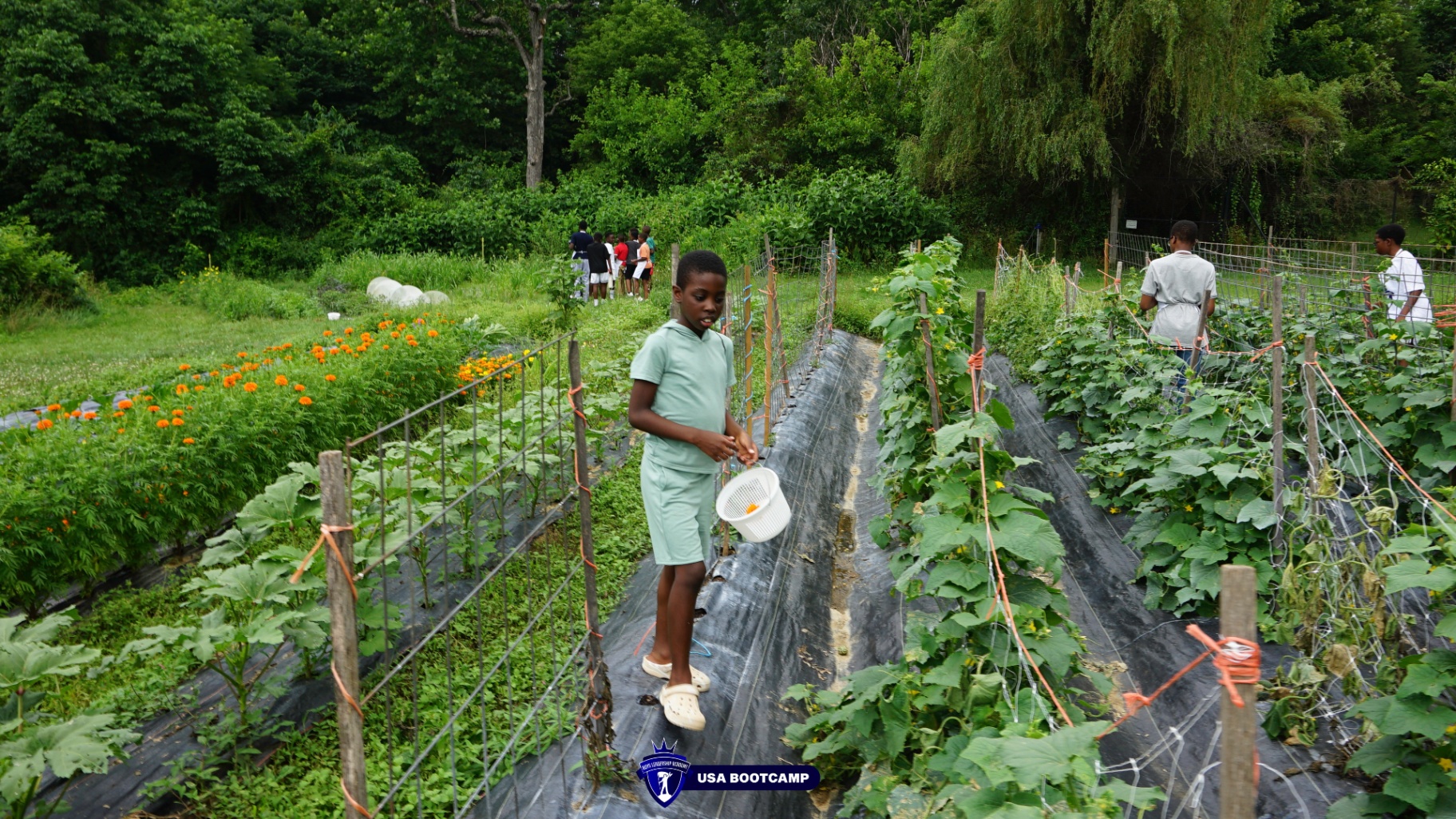 A boy walking through the camp garden with a harvest basket.